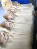 Virgin Wig 200% Density 613 Straight