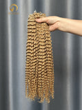 Crochet Hair Kinky Curly #27