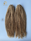 Crochet Hair Kinky Curly #27