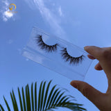 3D Mink Lash No.6