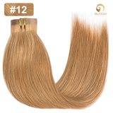 Seamless Clip In 12# Golden Brown